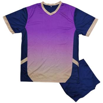 Rainbow Team Jersey Set A Grade Purple