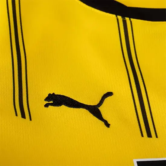 Borussia dortmund home fan jersey 24/25