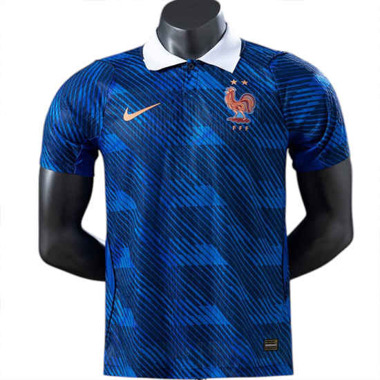 France Home Player
