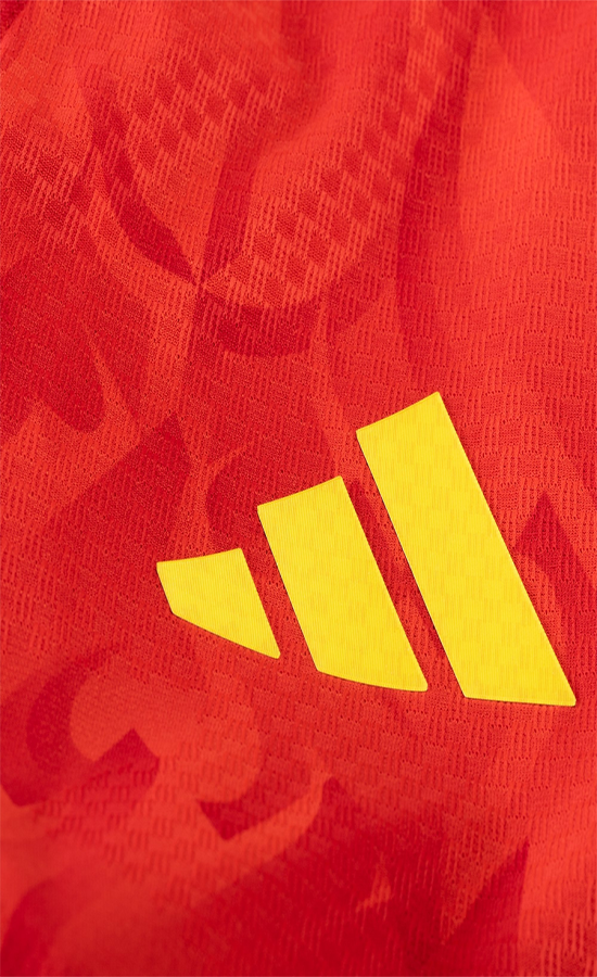 Belgium Home Player
