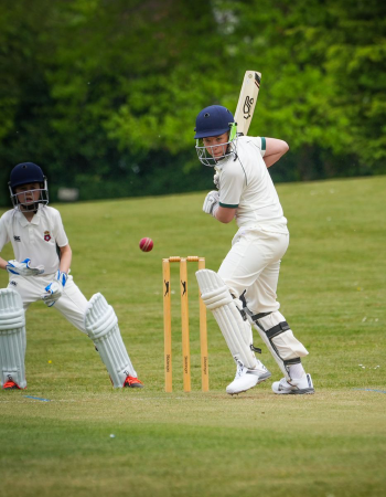 Cricket